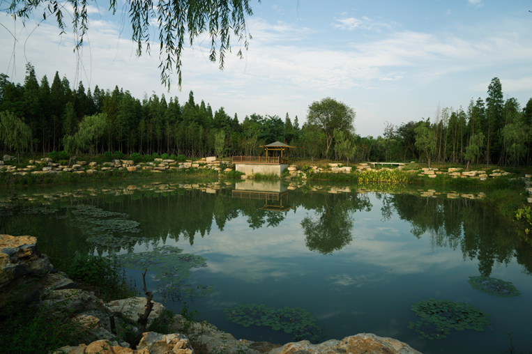 宿迁三台山森林公园山林景区(含镜湖区)03.jpg