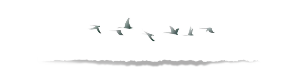 4127a4448fb1df95f77eb114e0054d5.png